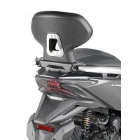 Beifahrer-Rückenlehne  für Honda Forza 125 /...