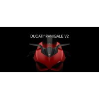 Rizoma Spiegel Stealth Paket für Ducati Panigale V2 silber
